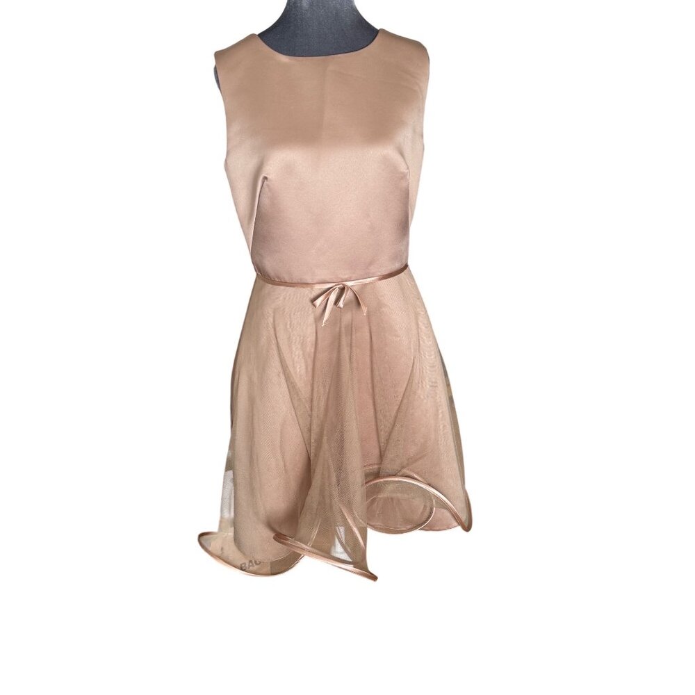Suzanne Ermann Womens Sleeveless Satin & Sheer Dress Open Back Size 42 Made In F - Picture 2 of 9